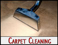 Carpet Cleaning Palatine